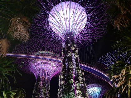 Garden Rapsody - Lyd- og lys show ved Gardens by the Bay
