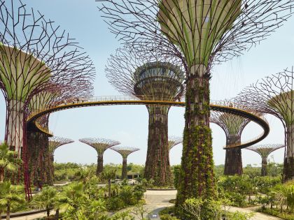 Supertrees fra Gardens by The Bay