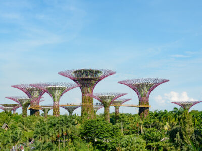 Super tress i Gardens by the Bay