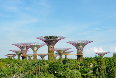 Super trees i Gardens by the Bay