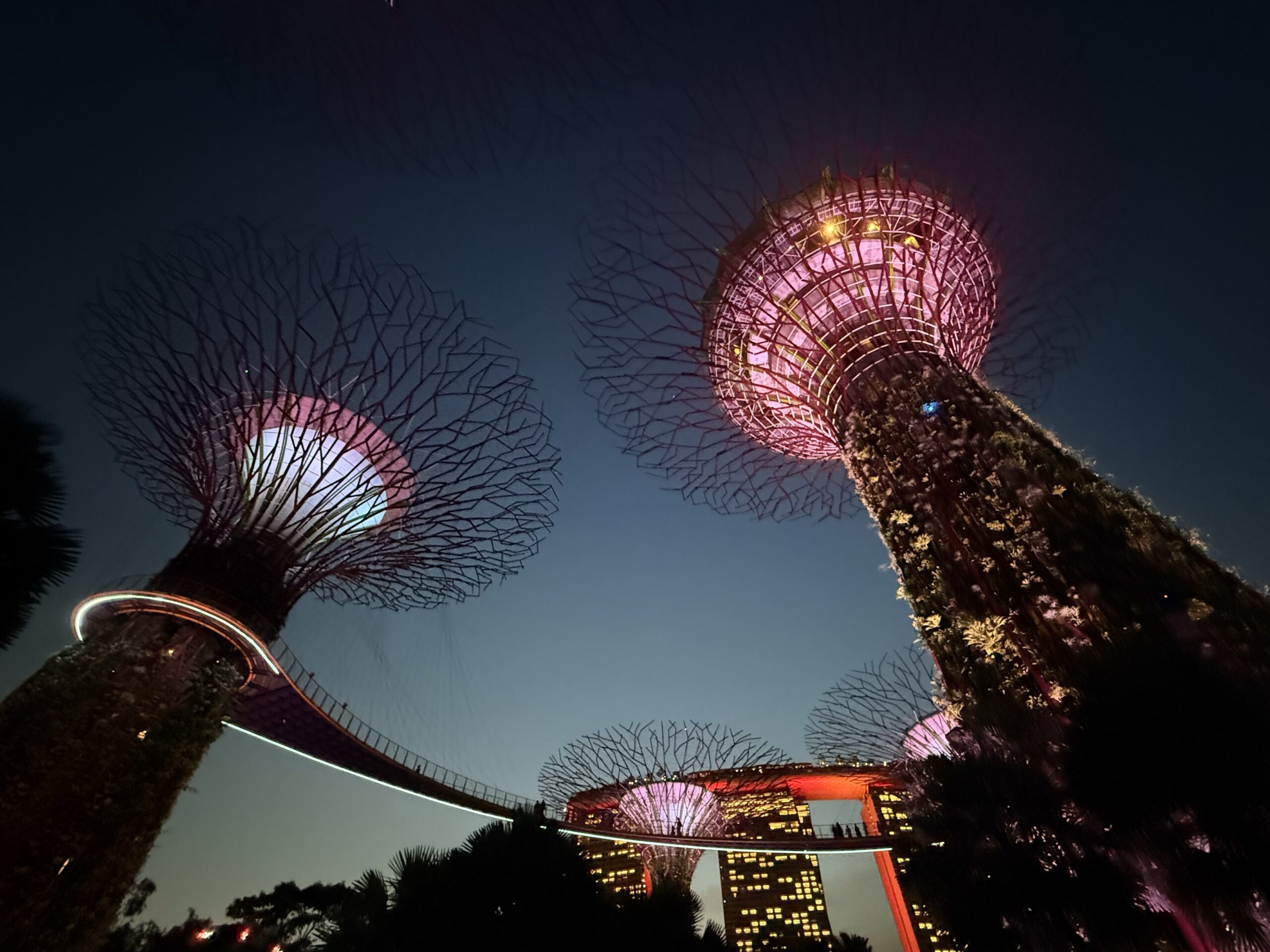 Lysshow i Gardens by the Bay med Supertrees
